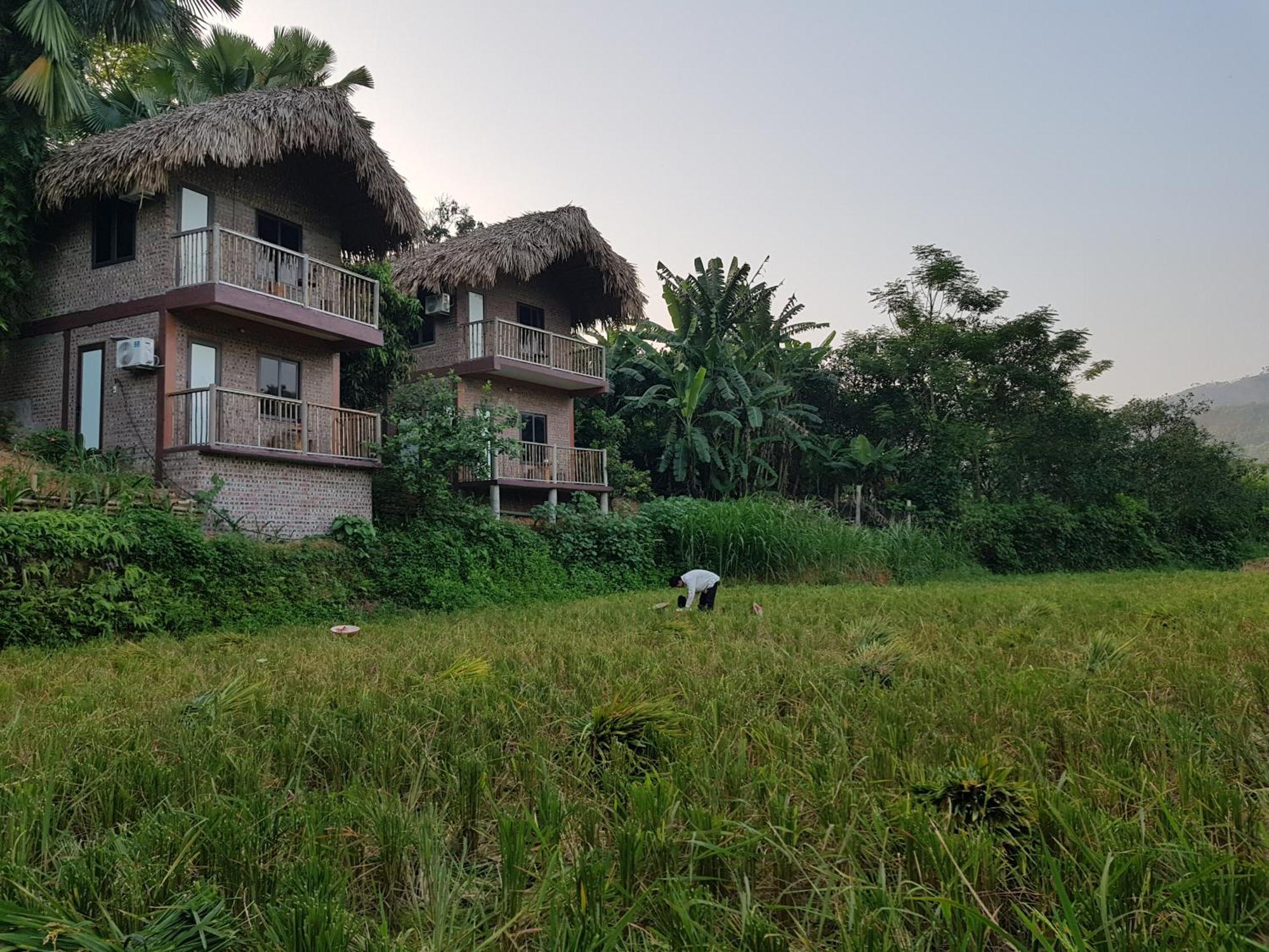 Vu Linh Palm House Homestay - Bungalow Yen Bai Zewnętrze zdjęcie