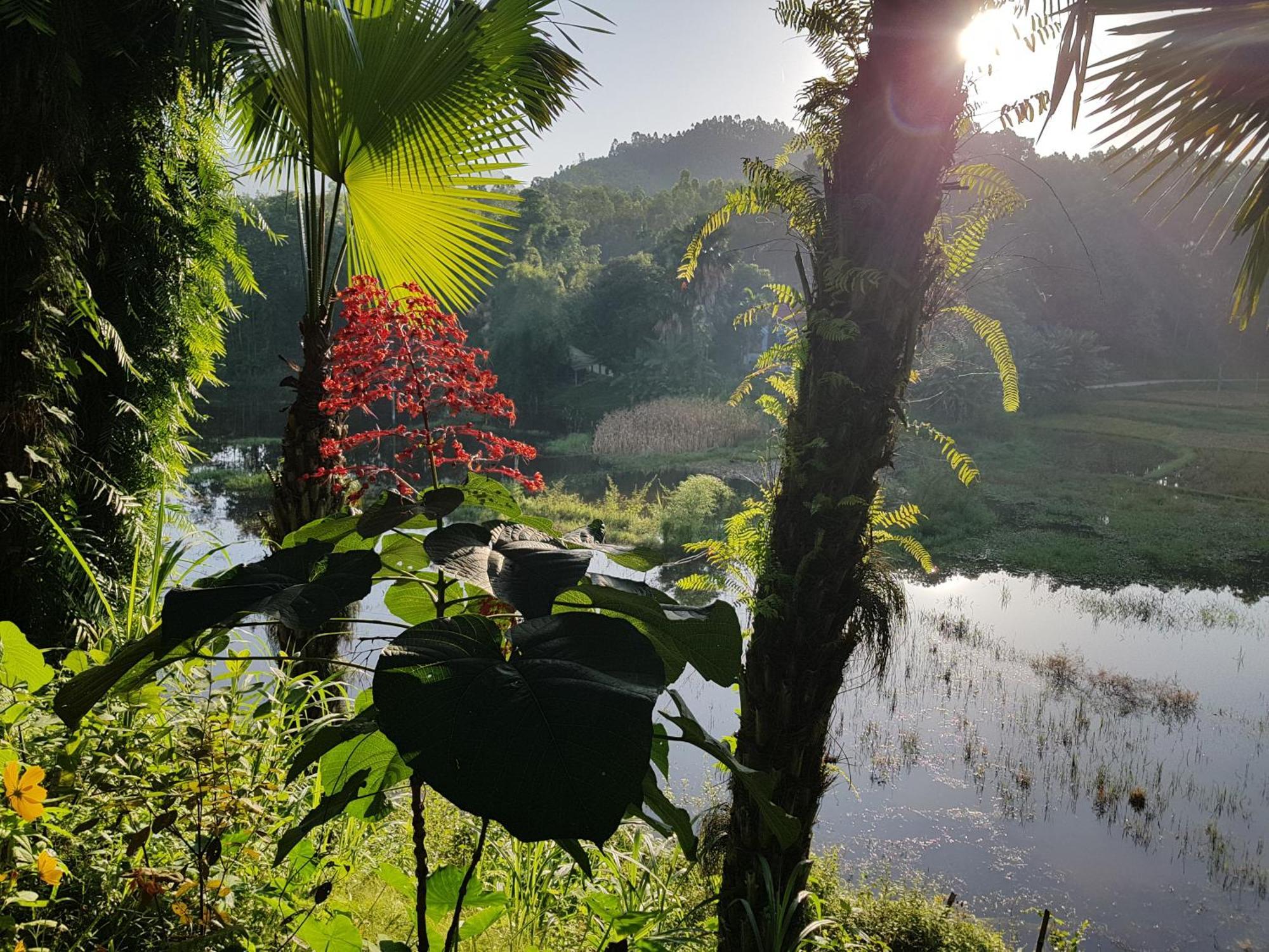 Vu Linh Palm House Homestay - Bungalow Yen Bai Zewnętrze zdjęcie