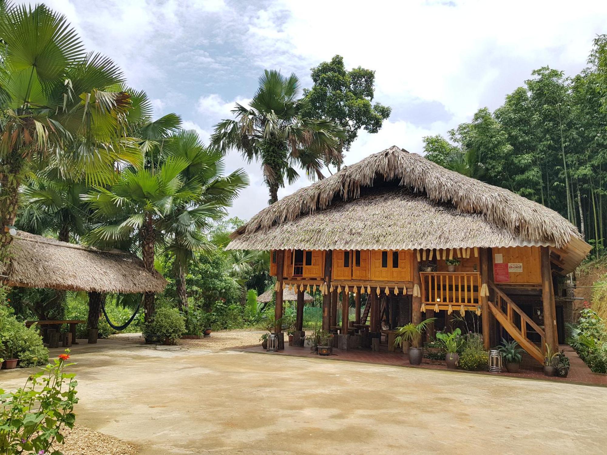 Vu Linh Palm House Homestay - Bungalow Yen Bai Zewnętrze zdjęcie